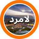 فروشگاه های فرش دستباف شهرستان لامرد در استان فارس  که در سایت دفه زن عضو می باشند